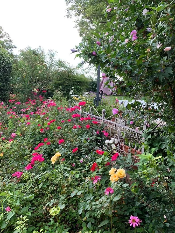 Casa Serenella B&B - Casa Vacanze Piazzola sul Brenta Italy