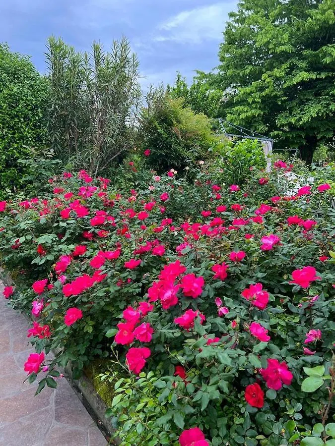 Casa Serenella B&B - Casa Vacanze Piazzola sul Brenta